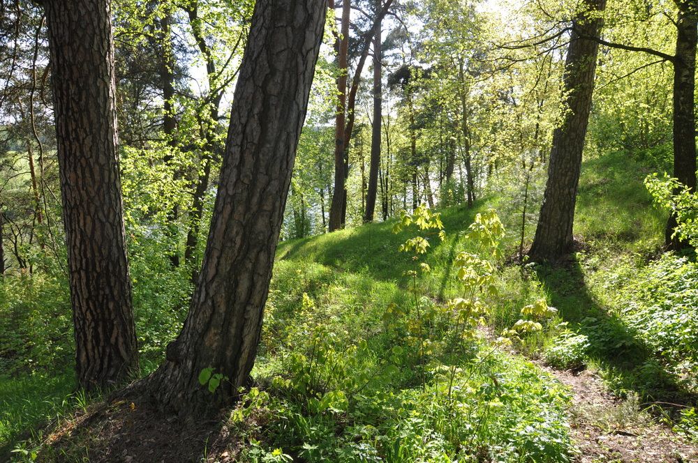 Photograph by Ольга Суляева