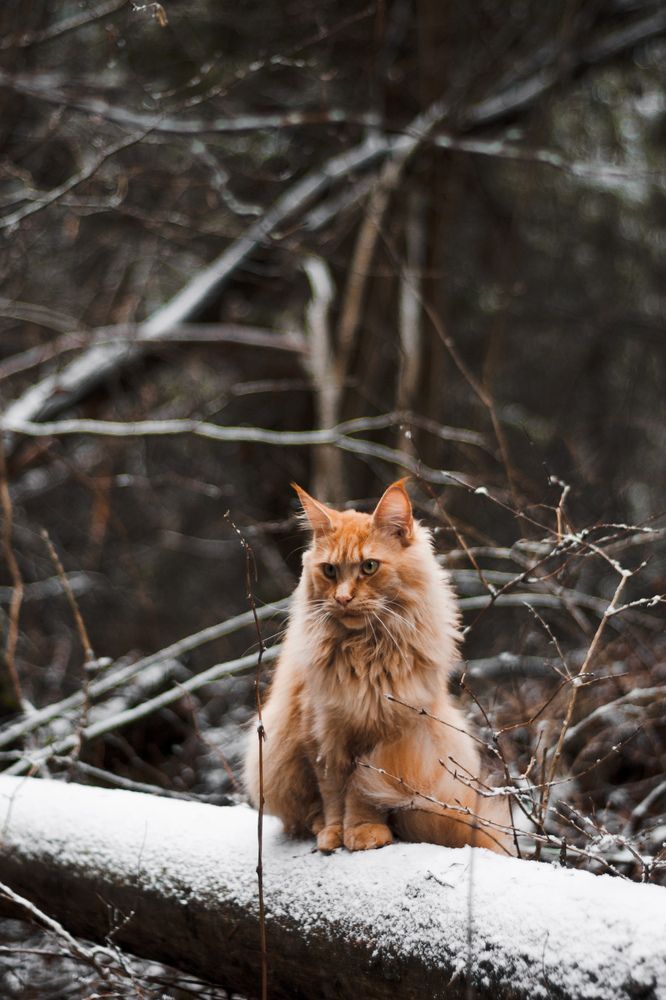 Photograph by Nika Prokopenko