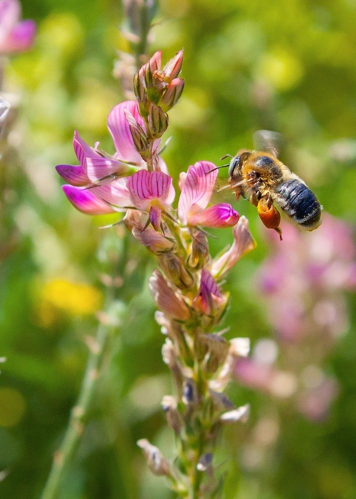 Photograph by Валерий Федяров