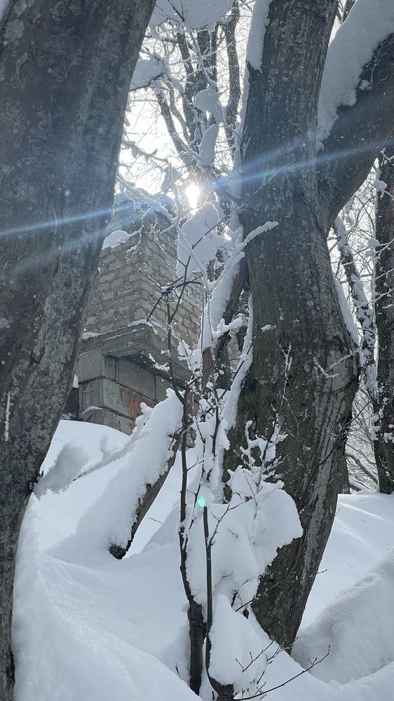 Photograph by Рузанна Гюрджян