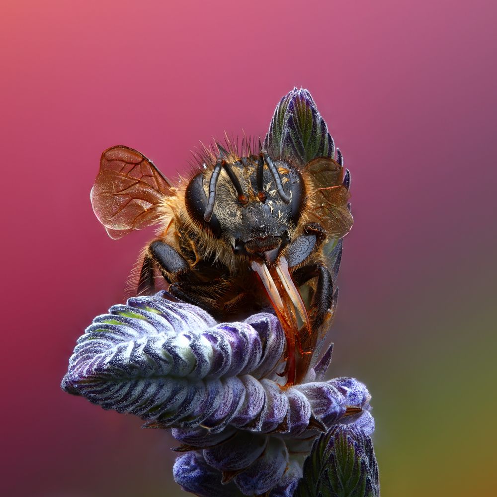 Photograph by Фруман Евгений