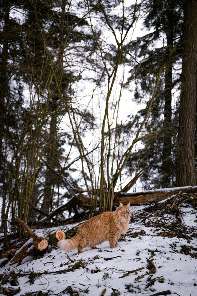 Photograph by Nika Prokopenko