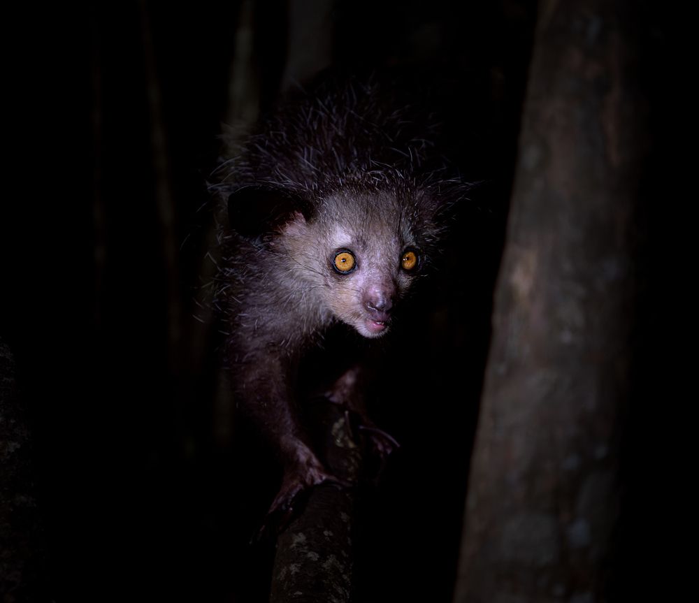 Photograph by Nifiba Suneer