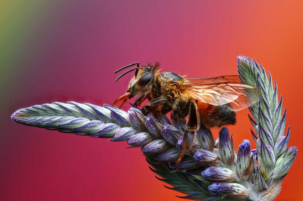 Photograph by Фруман Евгений