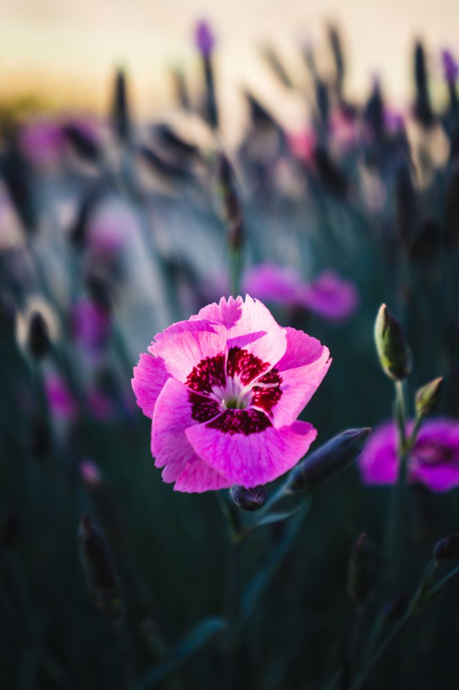 Photograph by Алексей Юдин