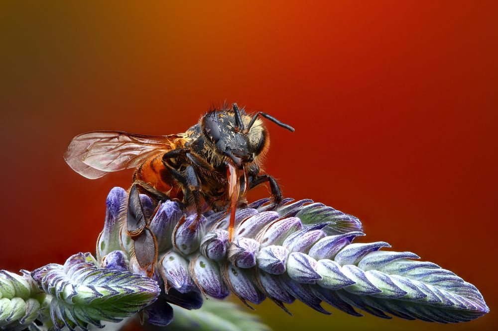 Photograph by Фруман Евгений