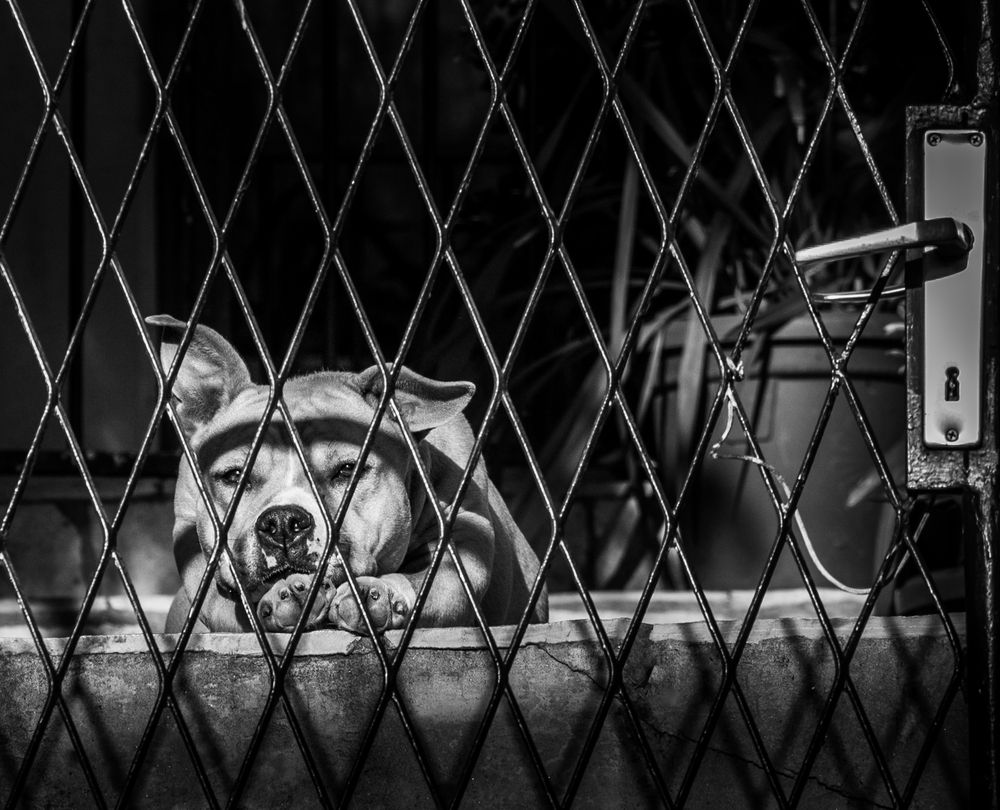 Photograph by Анна Стрелковская