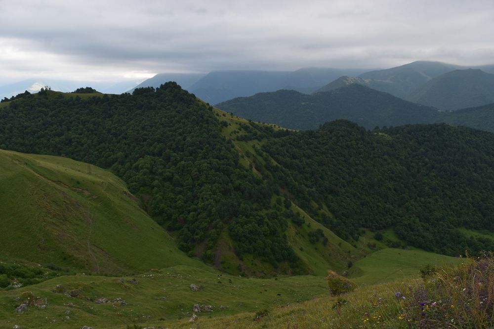 Photograph by Анна Стрельченко