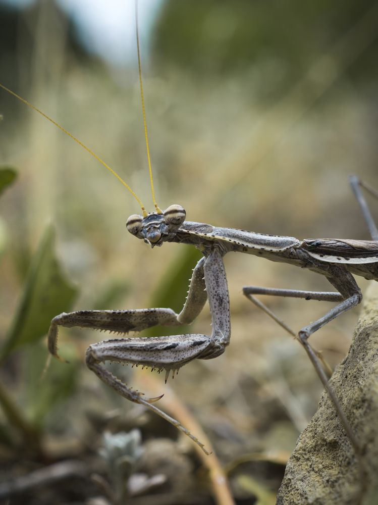 Photograph by Юрий Говорков