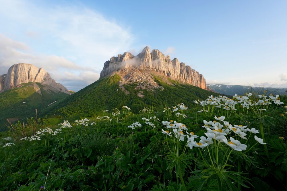 Фотография автора  Андрей