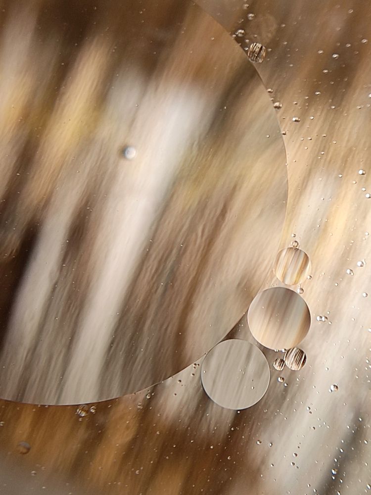 Фотография автора Мария Александрова