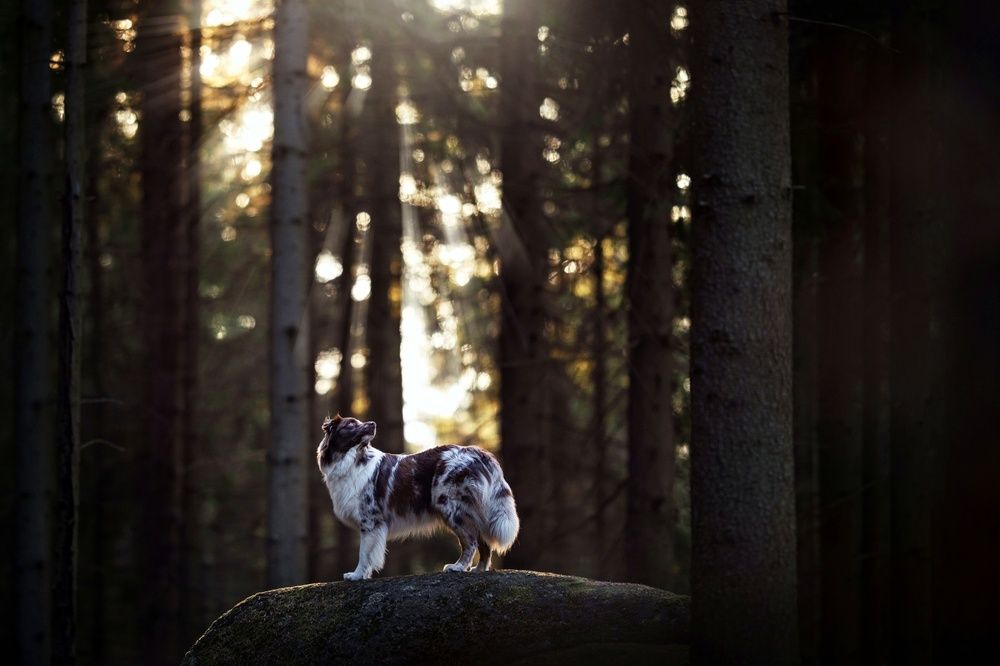 Photograph by Denisa Zbranková Albaniová