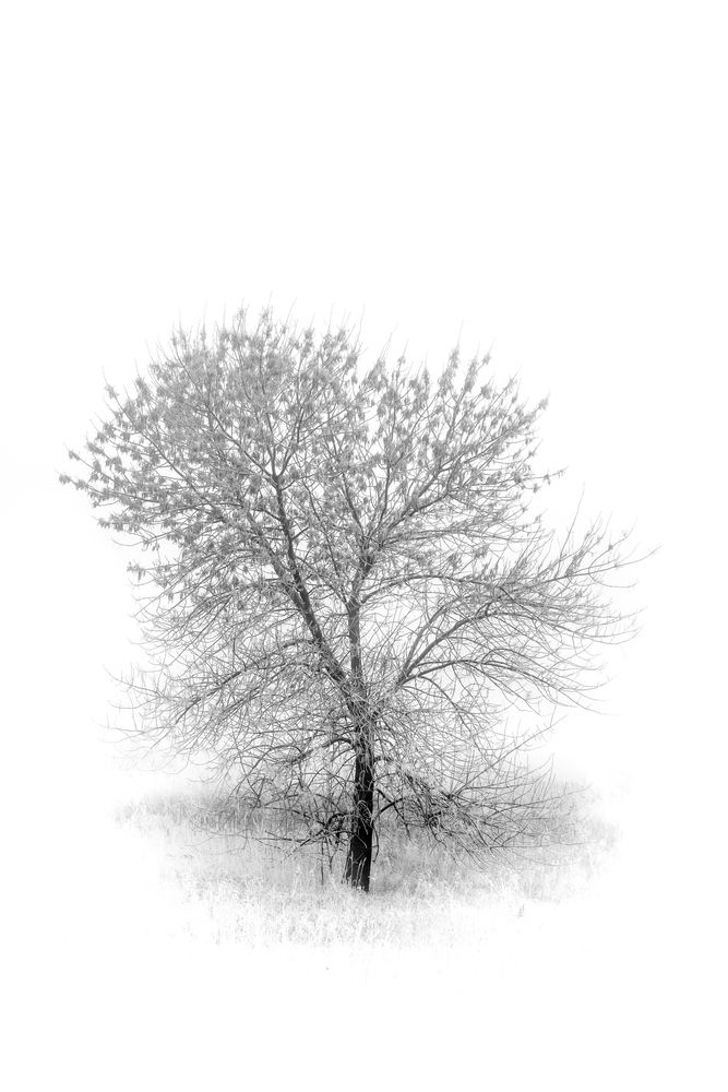 Photograph by Валерий Вторыгин