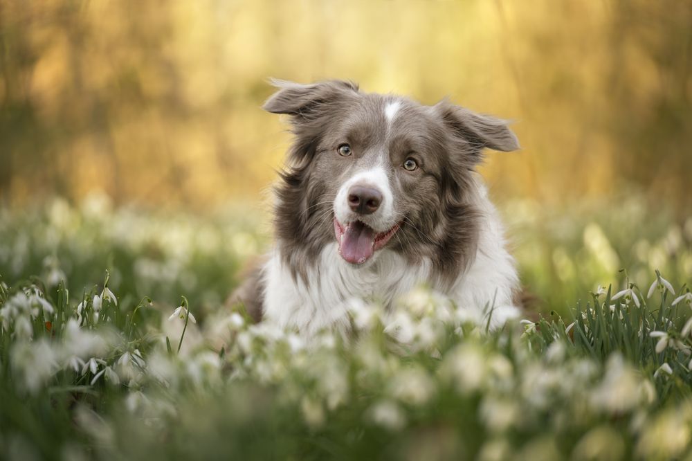 Photograph by Nathalie Soleil