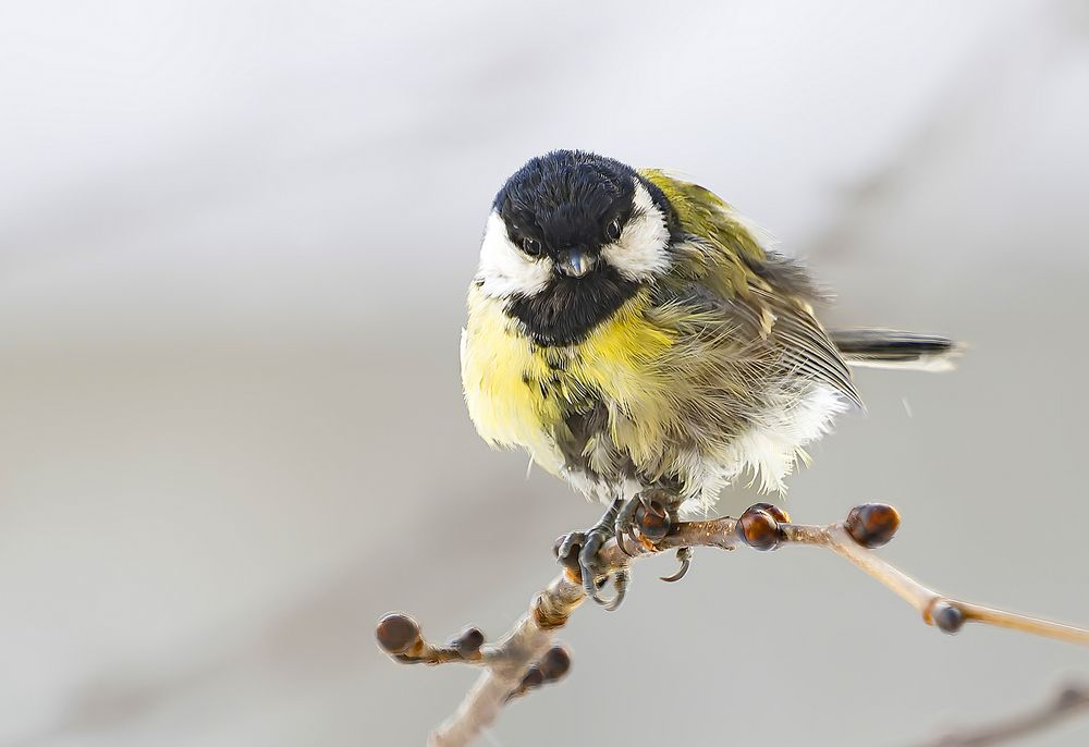 Photograph by Широких Александр