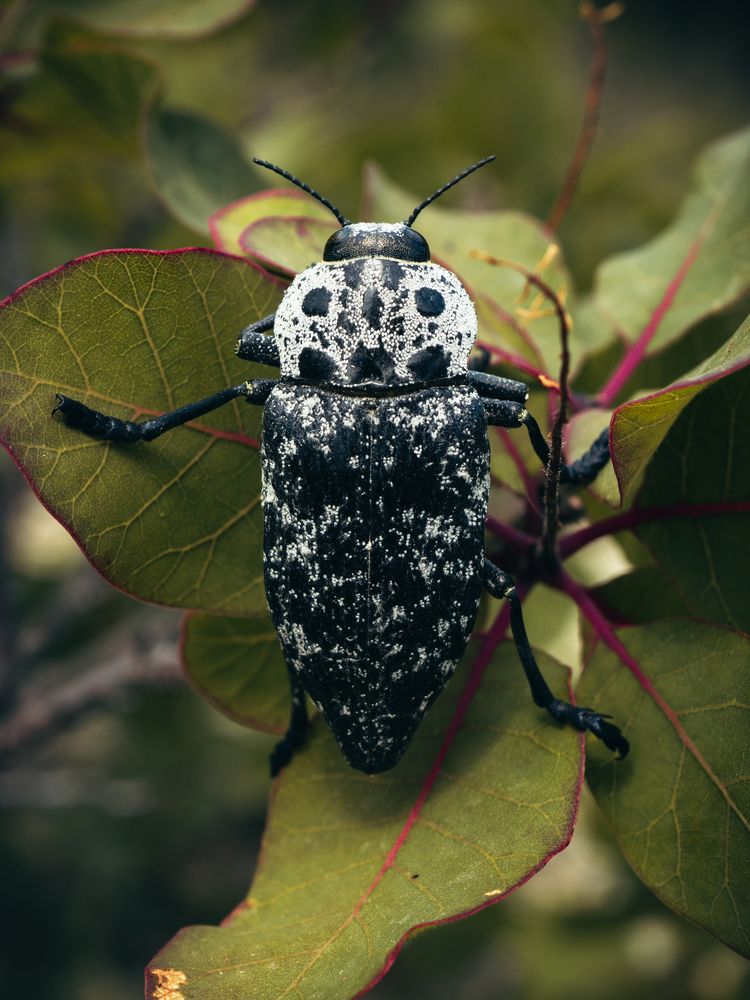 Photograph by Юрий Говорков