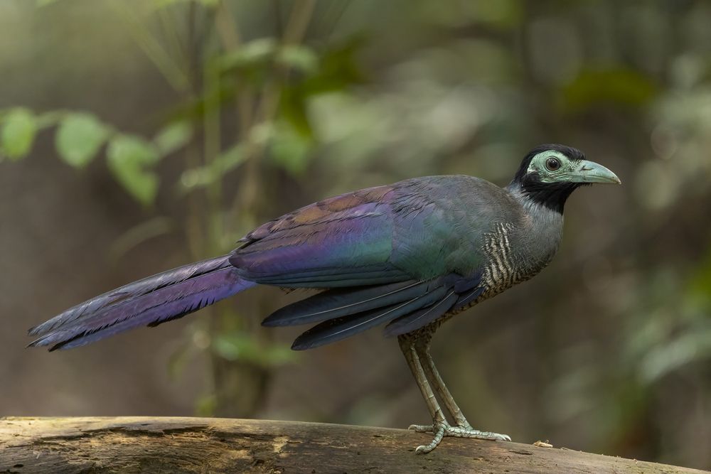 Photograph by Hymakar Valluri