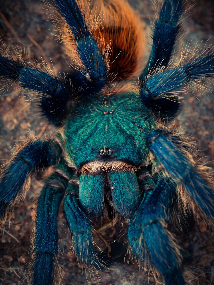 Photograph by Юрий Говорков