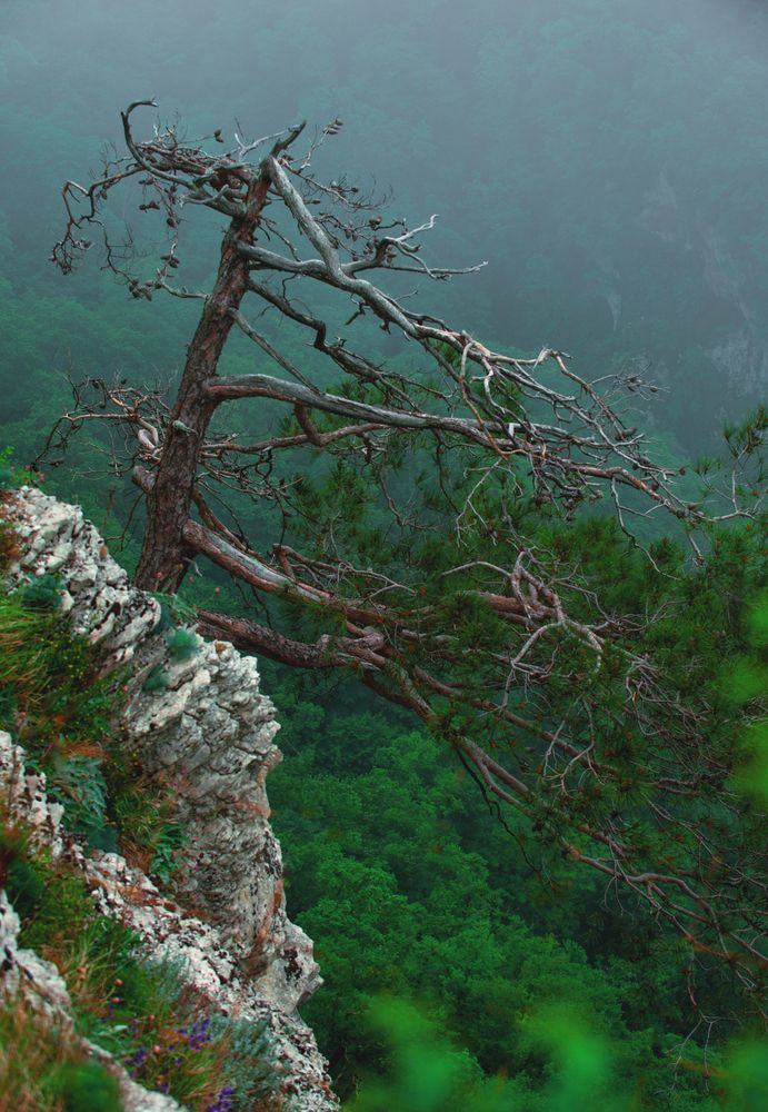 Photograph by Виктор Торба