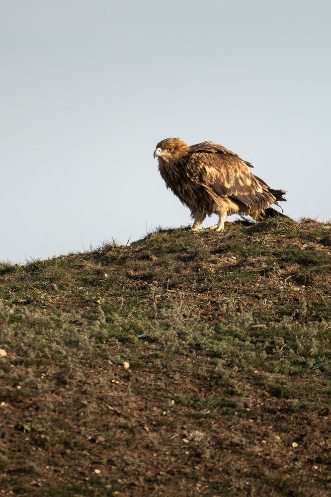 Photograph by Баландин Дмитрий
