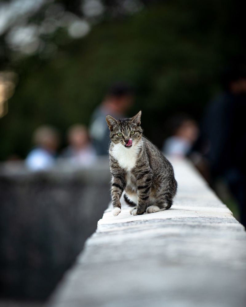 Photograph by Виктор Торба