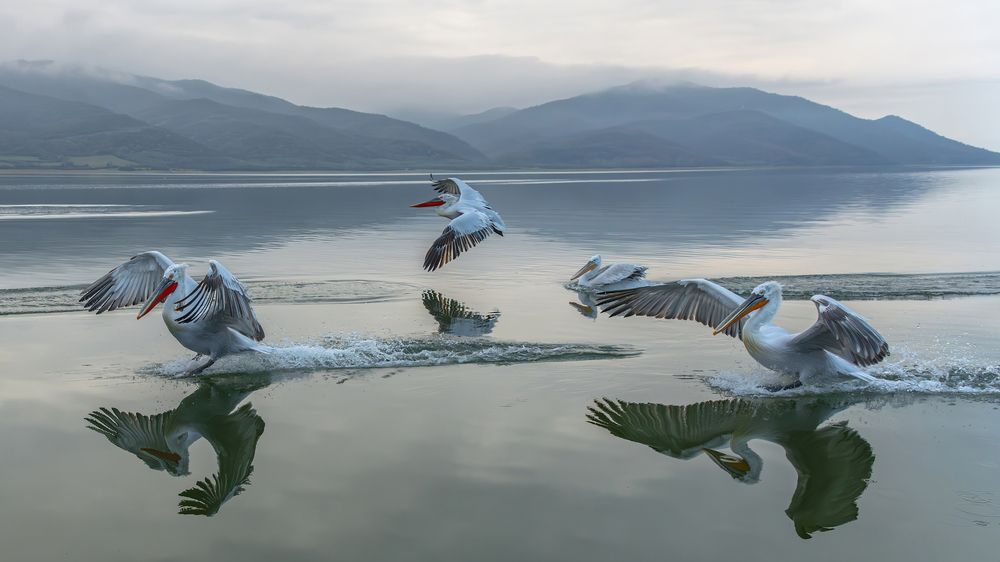 Photograph by Despina Anastasis