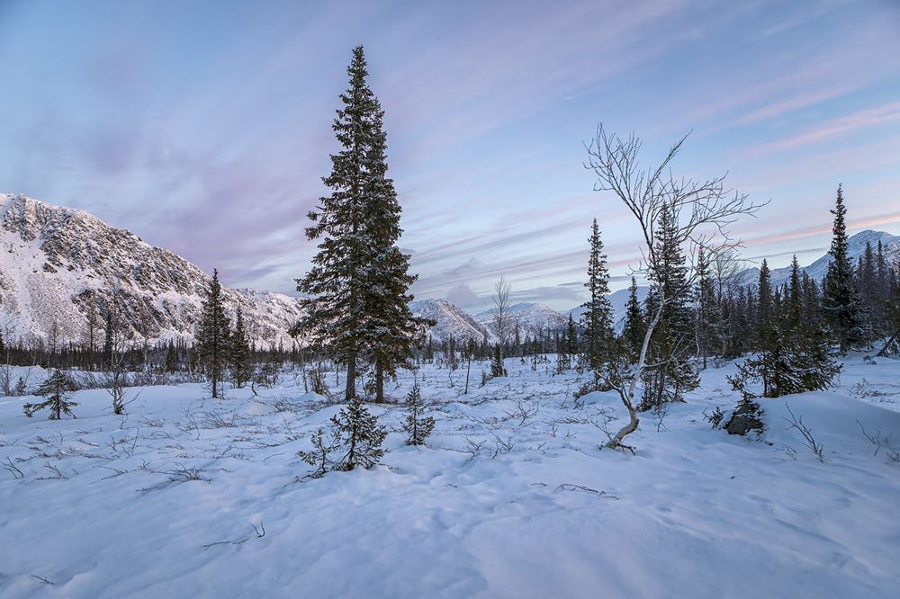 Photograph by Сергей Фомин