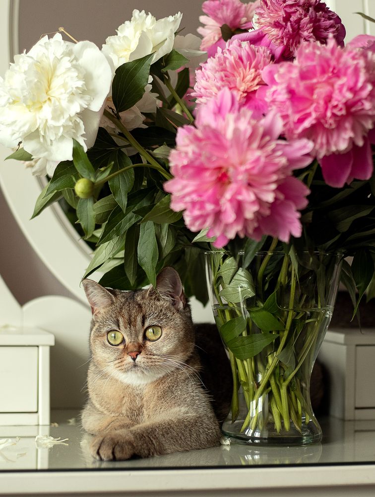 Photograph by Алла Аюпова