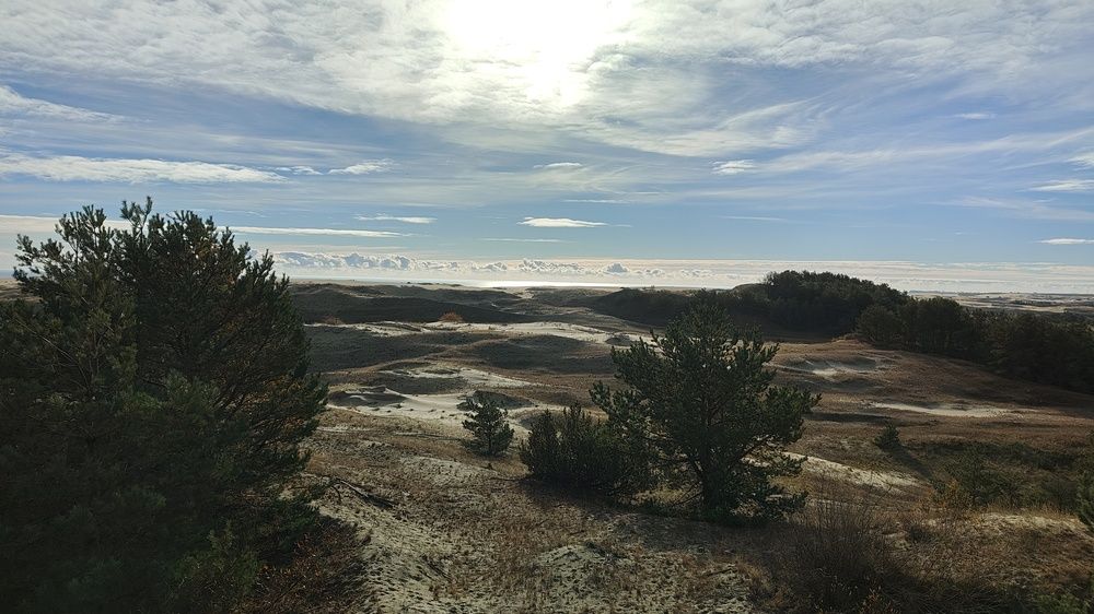 Photo #11987697