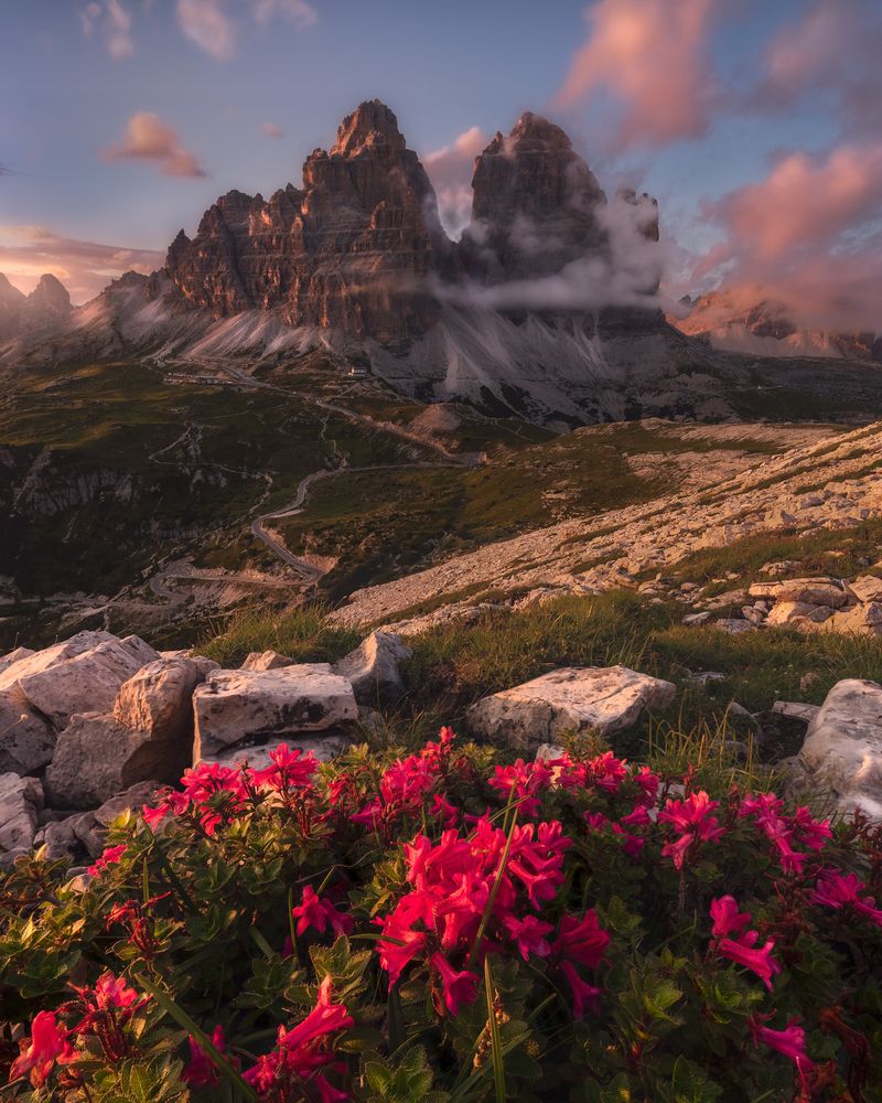 Фотография автора Peter Dužek