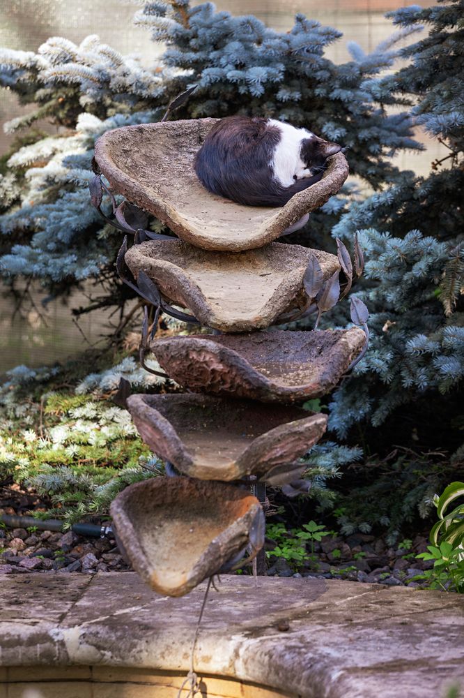 Фотография автора Наталья Василькова