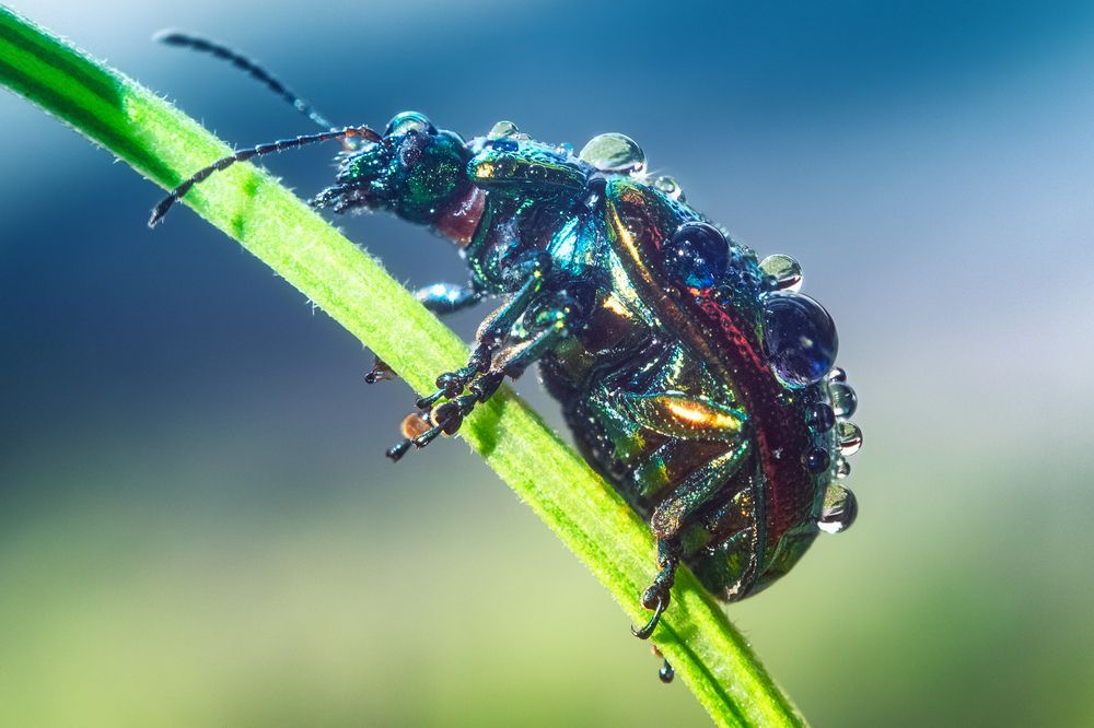 Photograph by Дмитрий Огольцов