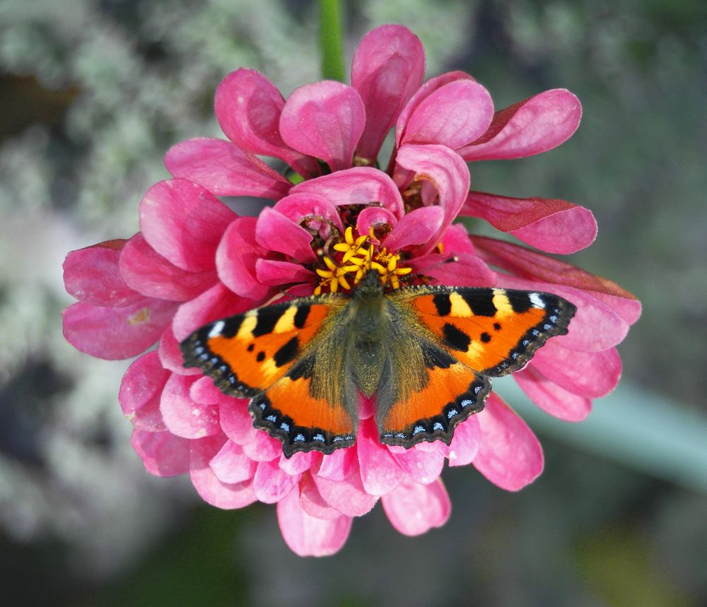 Photograph by Алексей Патлах