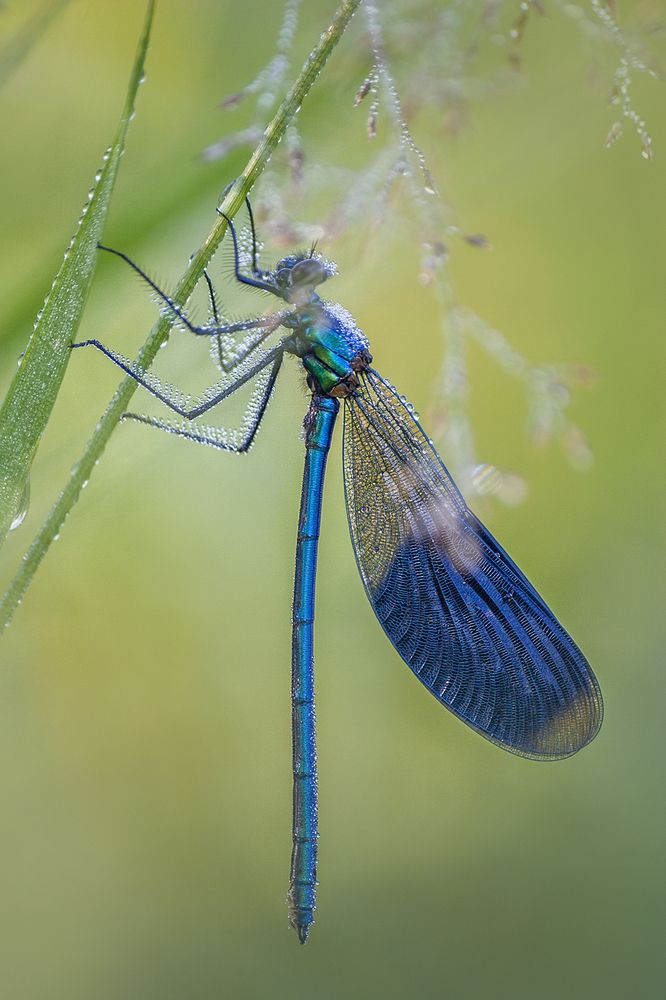 Photograph by Онучина Юлия