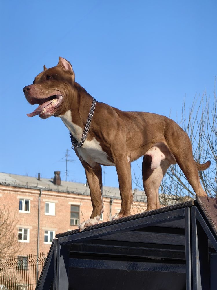 Фотография автора Лариса Хвостова