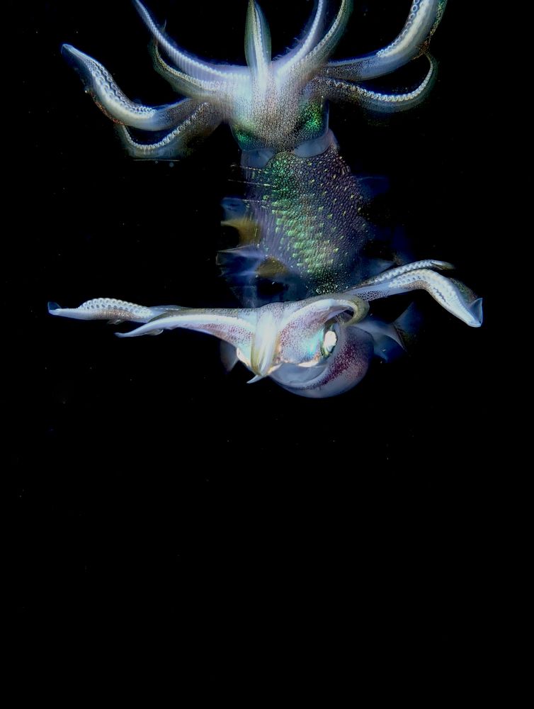 Photograph by Александр