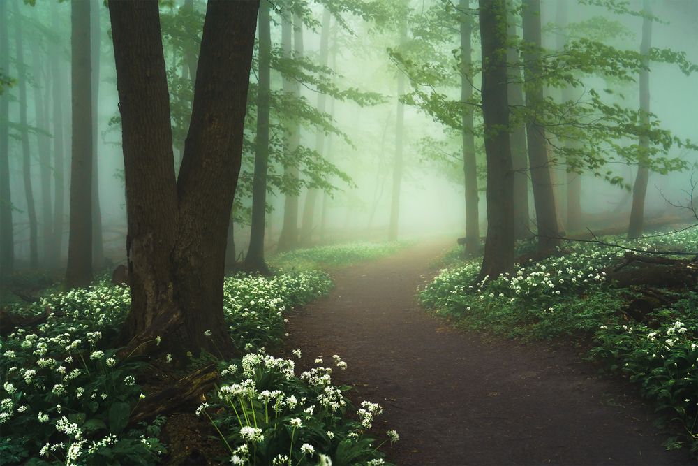 Фотография автора Peter Dužek