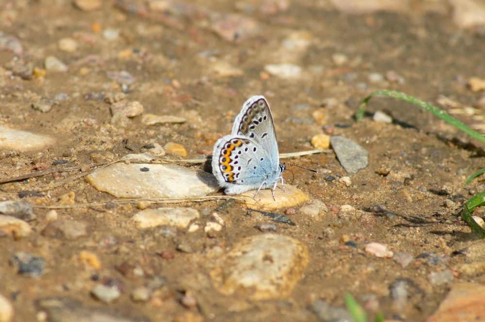 Photograph by Максим Захаров