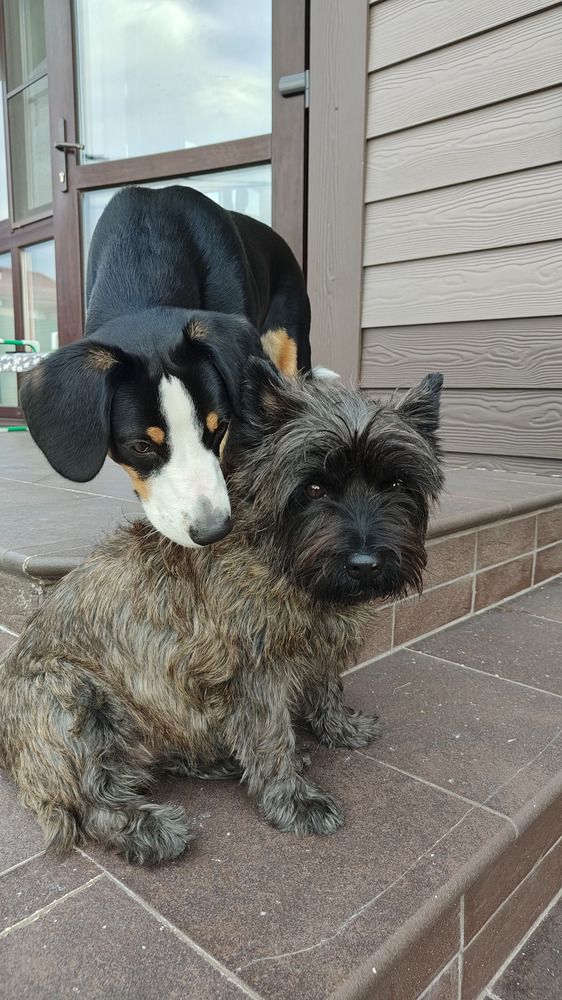 Photo #11987871