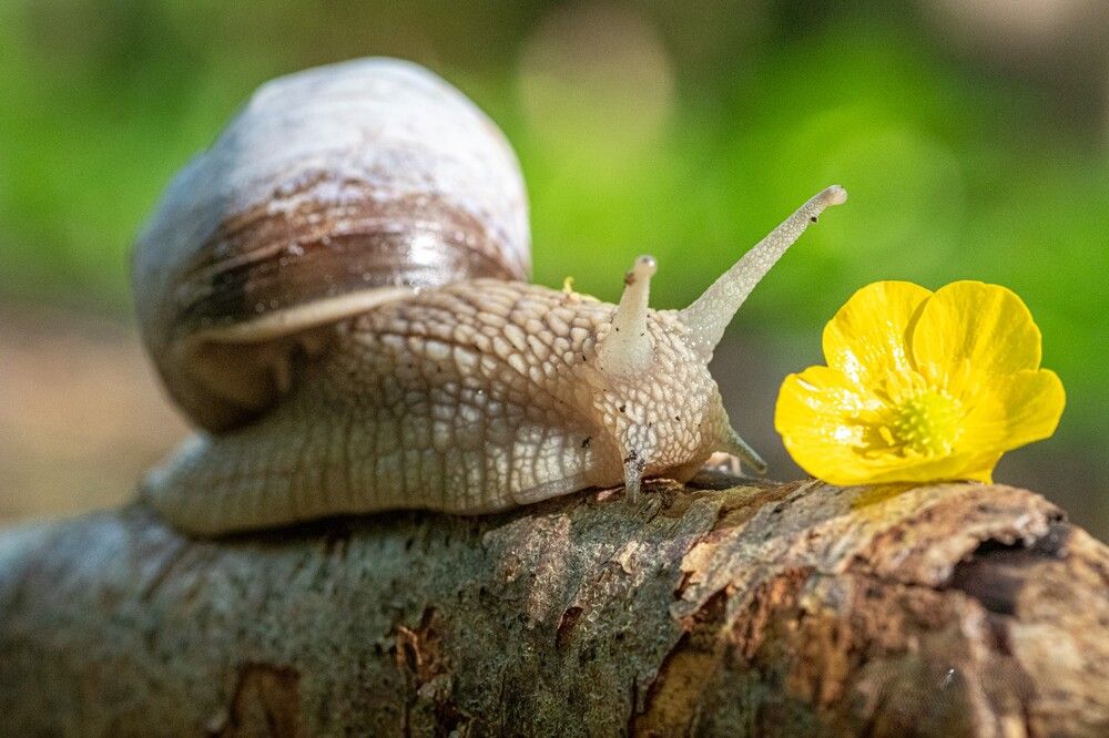 Photograph by Anzela Bazyk