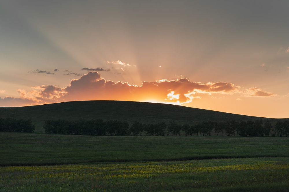 Фотография автора Julia Gorbacheva