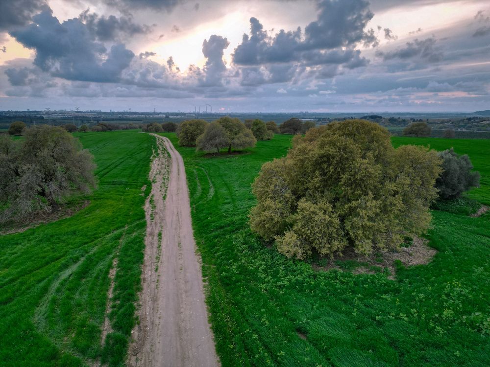 Photograph by omar kanani