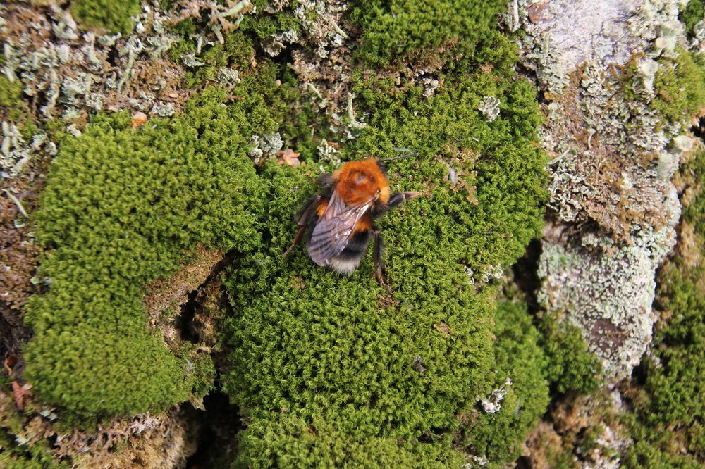 Photograph by Валерия Николаева