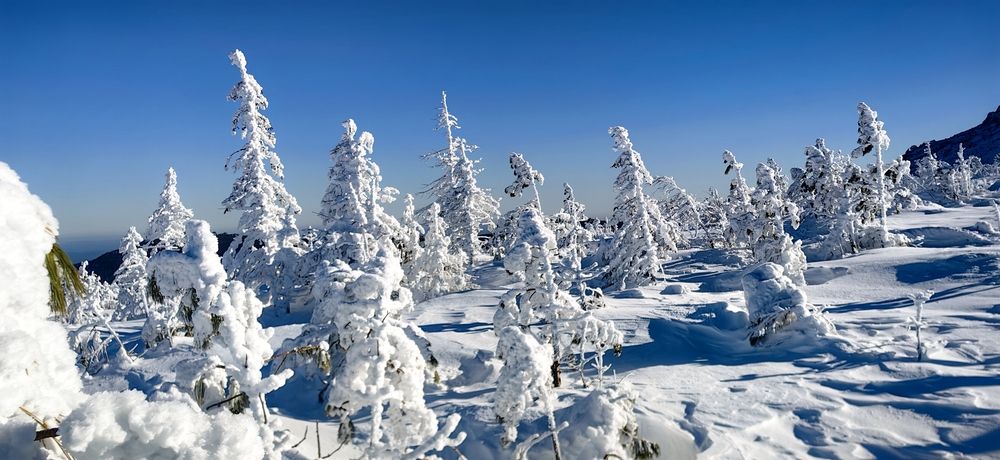 Сухогорский камень