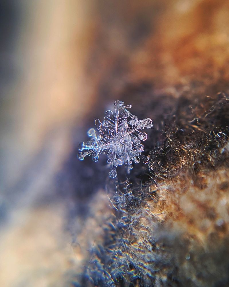 Photograph by Хачик Аджатян