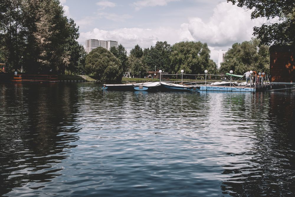 Городской оазис