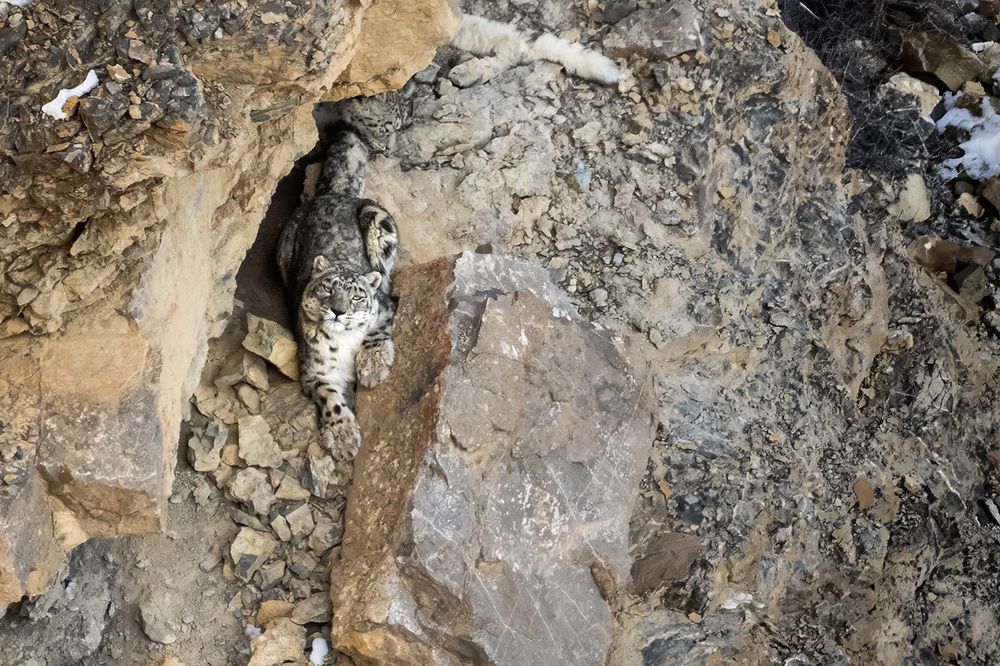 Фотография автора Bhupender Gupta