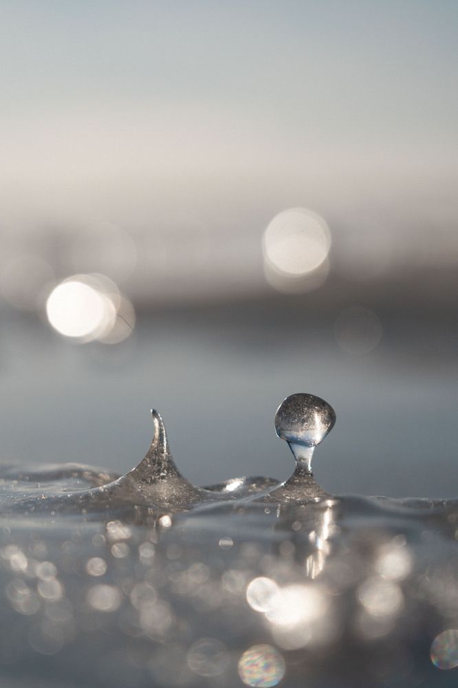 Мгновение во льду