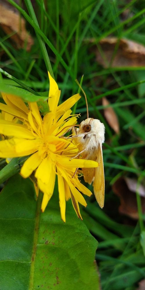 Photograph by Юлина Наталья