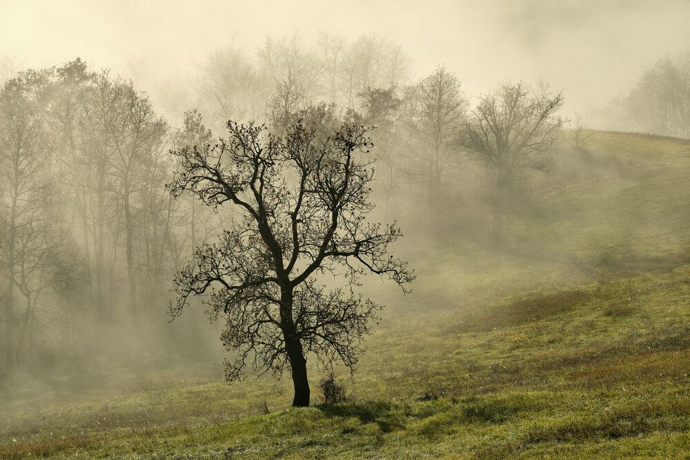 Photograph by Cristian Bertolini